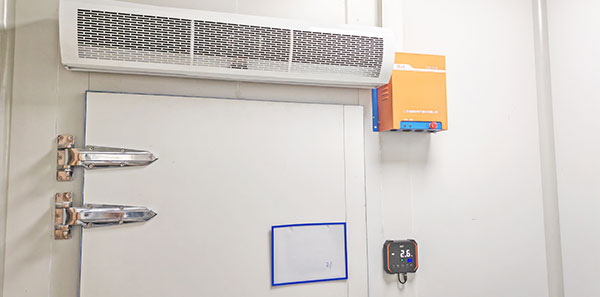 1736302880670717p7cm.jpg 5.jpg